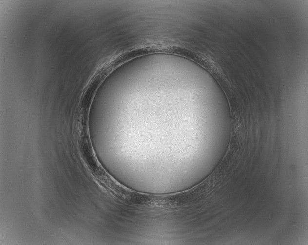 X0000080800736200701051419