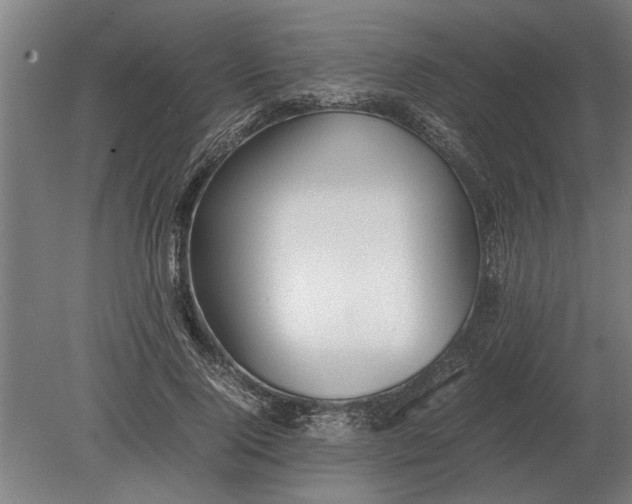 X0000080800740200701051419