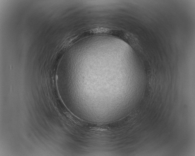 X0000080800743200701051419