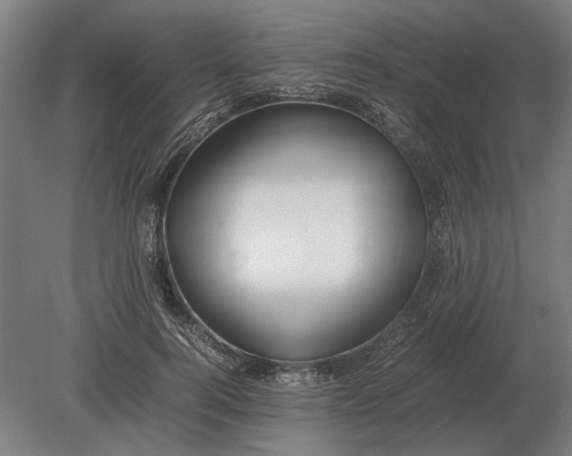 X0000080800744200701051419