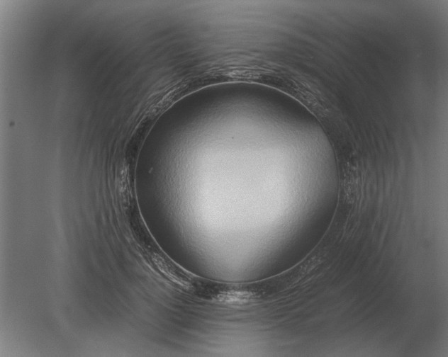 X0000080800748200701051419