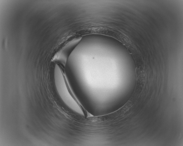 X0000080800750200701051419