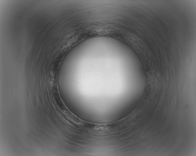 X0000080800752200701051419