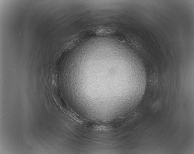 X0000080800755200701051419