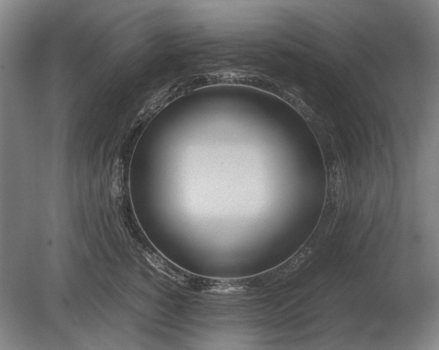 X0000080800760200701051419