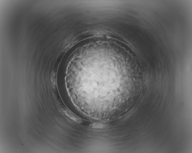 X0000080800766200701051419