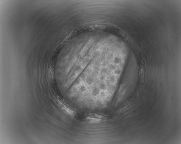 X0000080800772200701051418