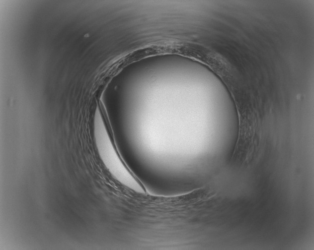 X0000080800773200701051418