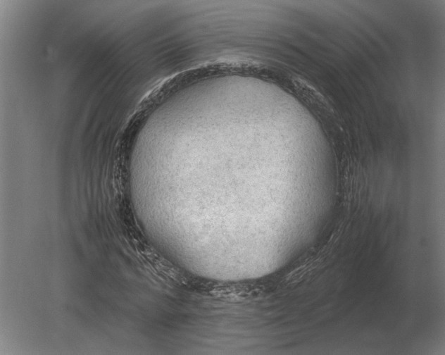 X0000080800776200701051418