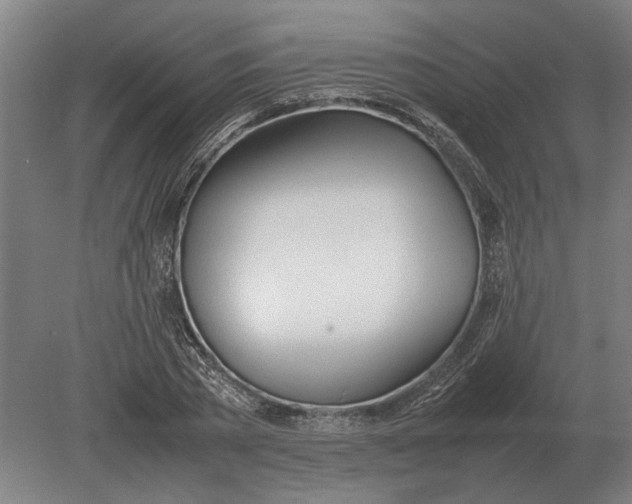 X0000080800785200701051418