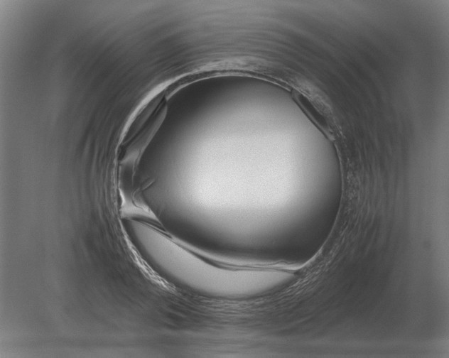 X0000080800792200701051418