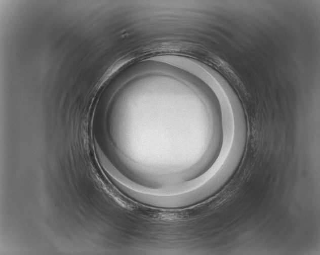 X0000080800794200701051418