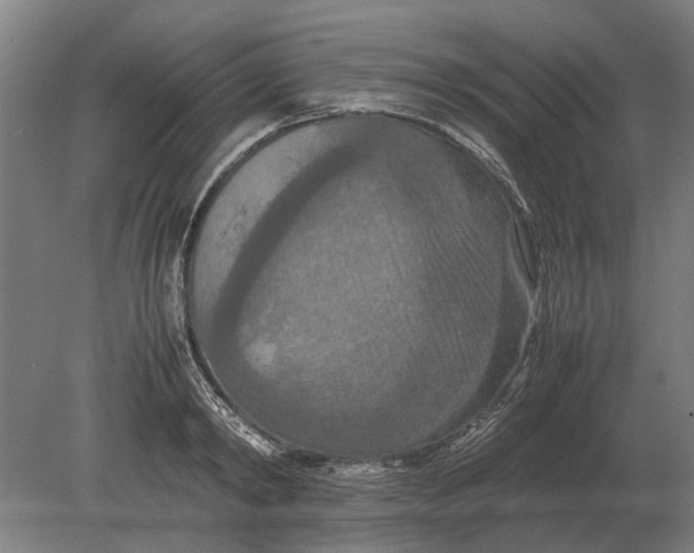 X0000080800798200701051418