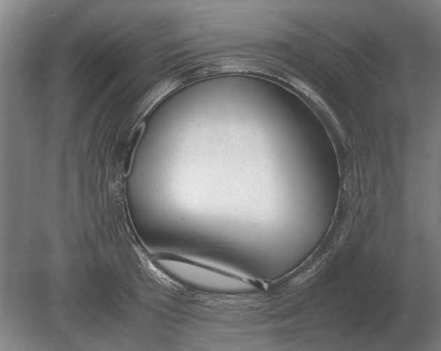 X0000080800801200701051418