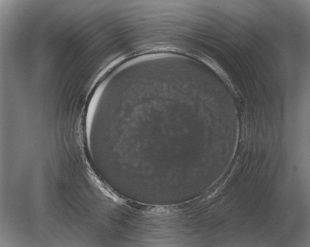 X0000080800806200701051418