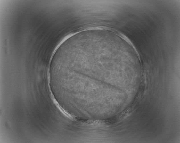X0000080800811200701051418