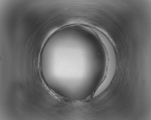 X0000080800815200701051418