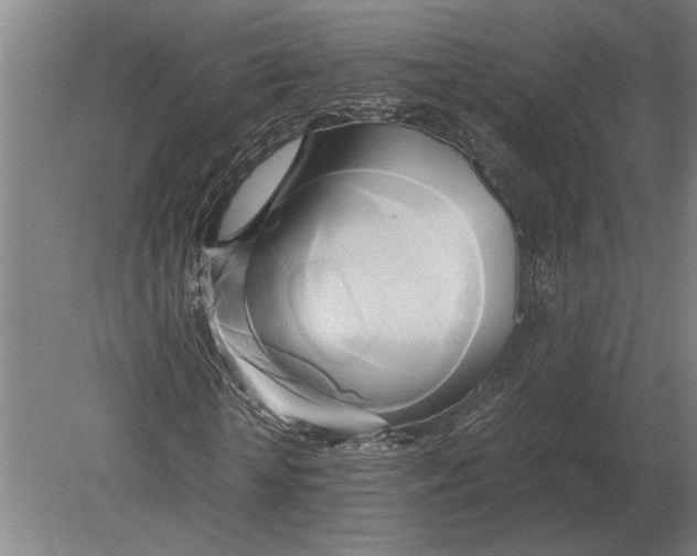 X0000080800818200701051417