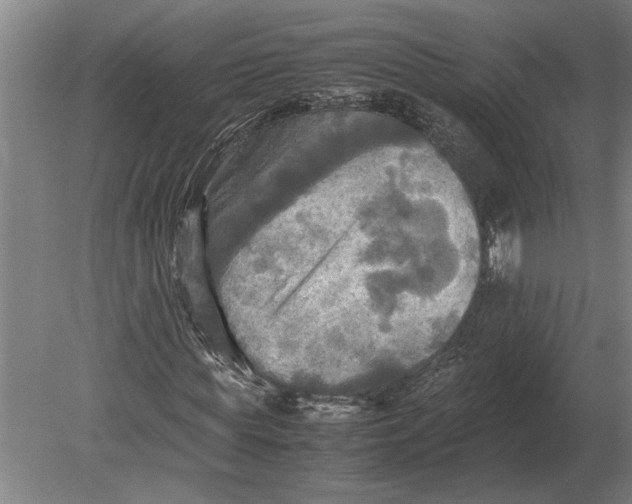 X0000080800819200701051417