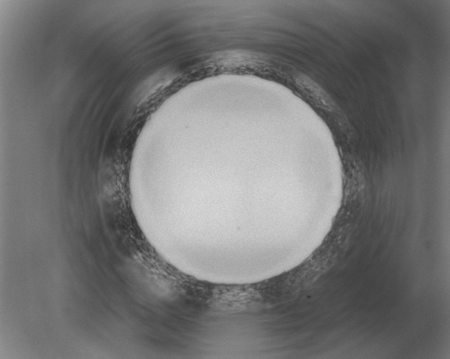 X0000080800824200701051417