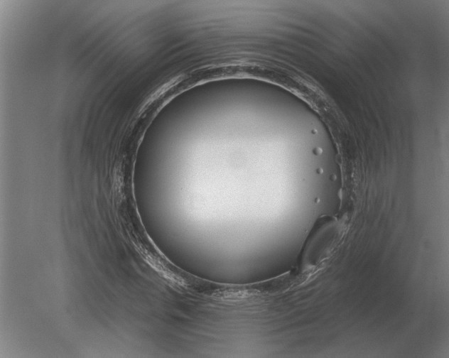 X0000080800826200701051417