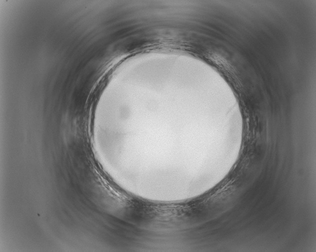 X0000080800828200701051417