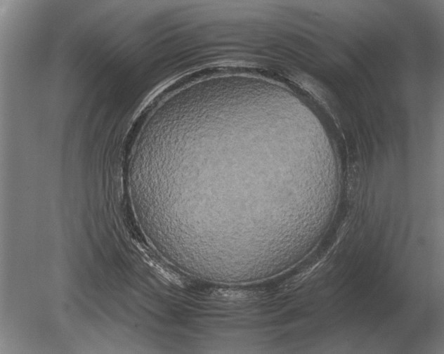 X0000080800829200701051417