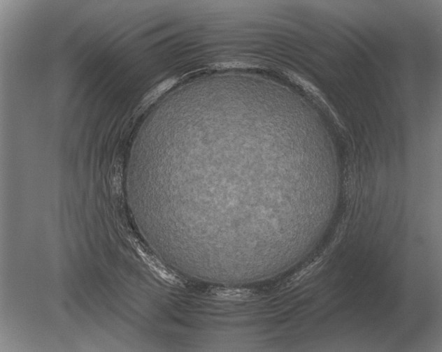 X0000080800833200701051417