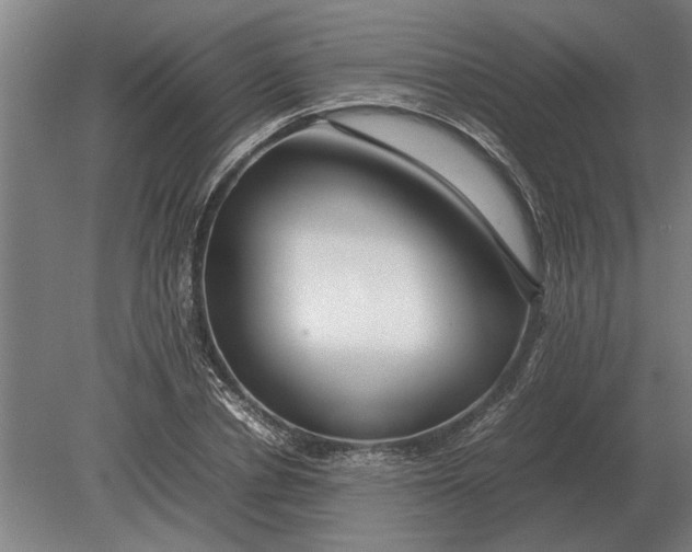 X0000080800834200701051417