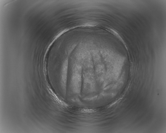 X0000080800835200701051417