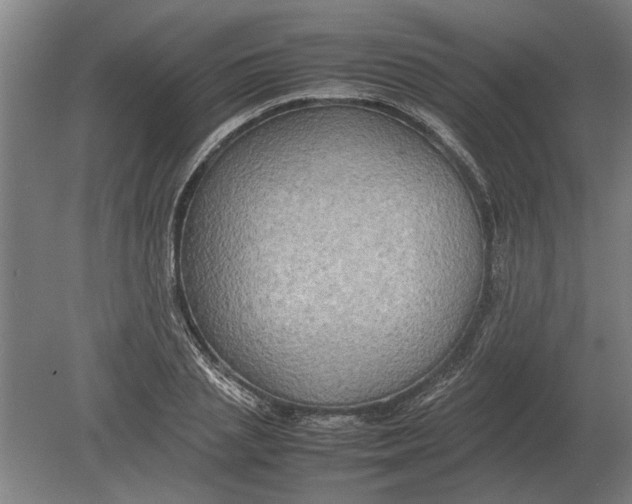 X0000080800837200701051417