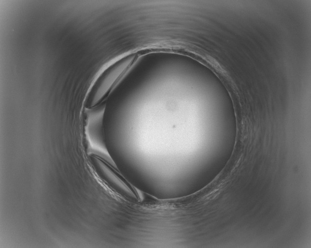 X0000080800838200701051417