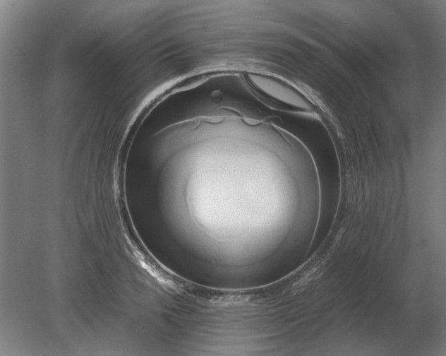 X0000080800846200701051417