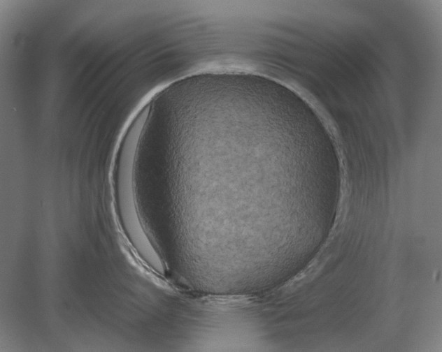 X0000080800864200701051418