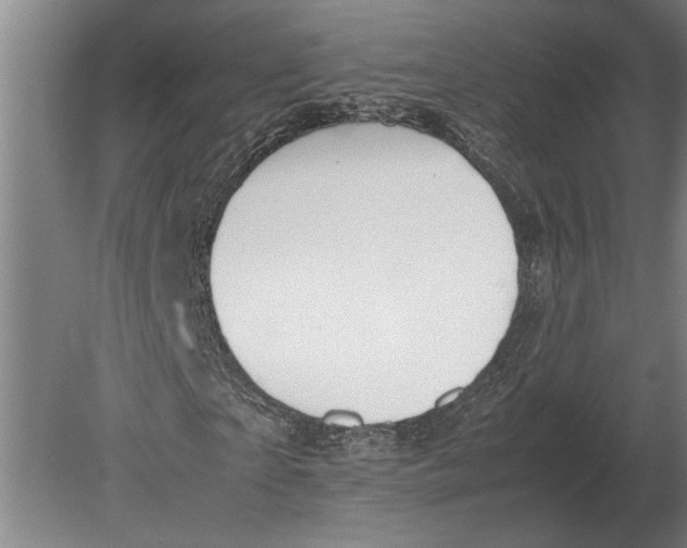 X0000080800865200701051417