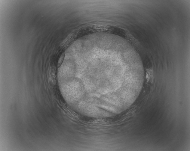 X0000080800867200701051417