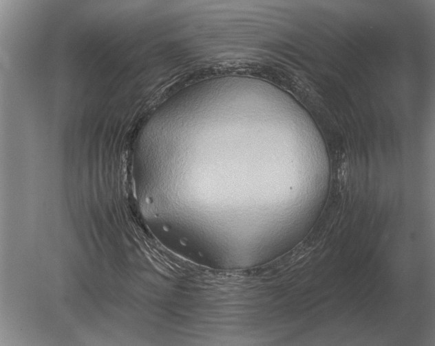 X0000080800868200701051417