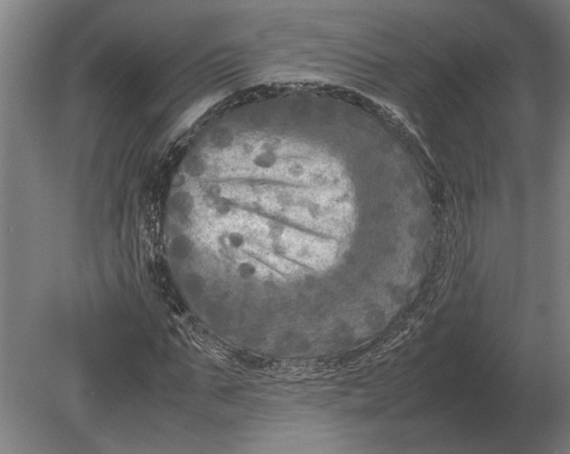 X0000080800871200701051417