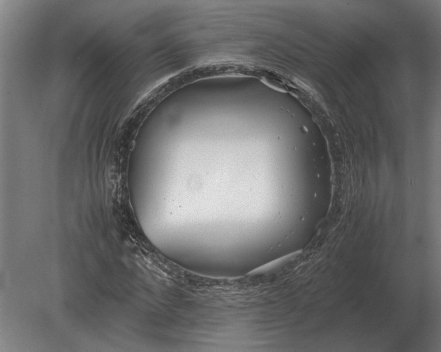 X0000080800872200701051417