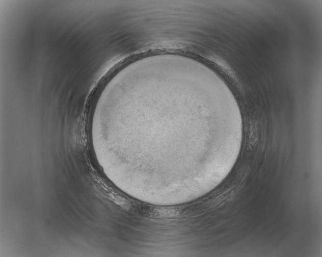 X0000080800878200701051417