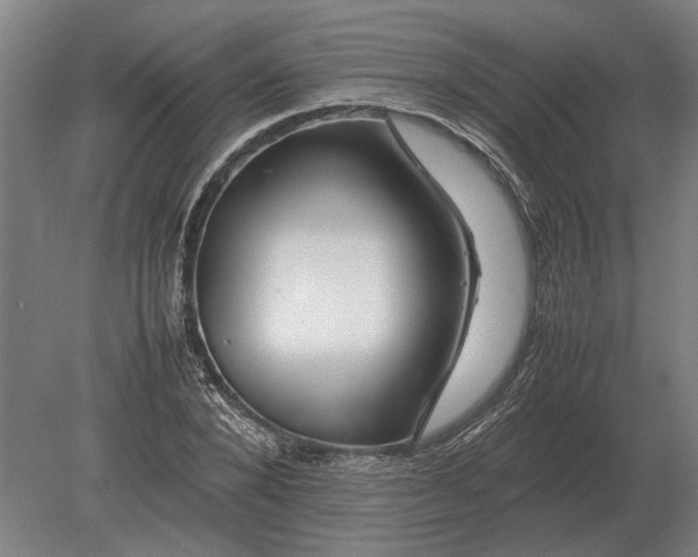 X0000080800880200701051416