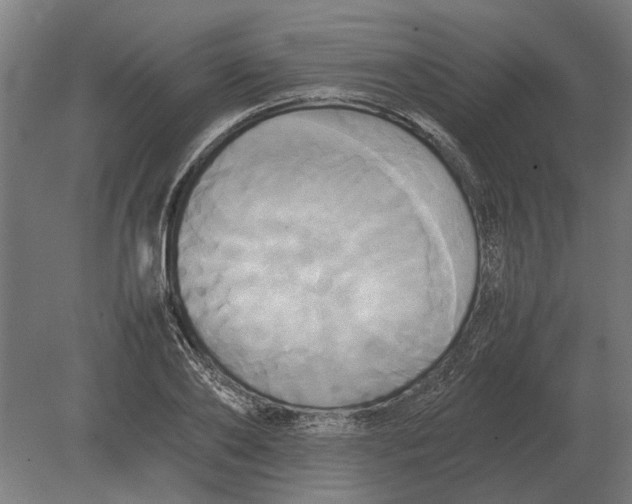X0000080800886200701051416
