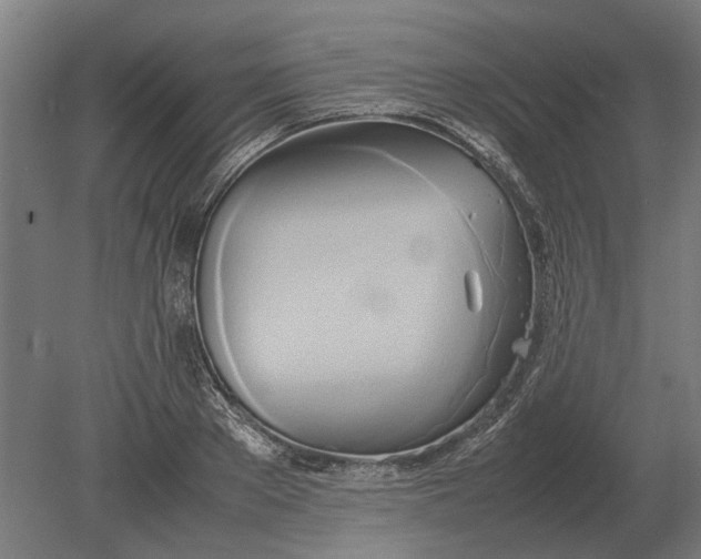 X0000080800889200701051416