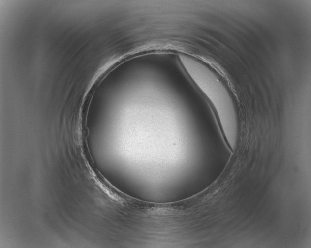 X0000080800894200701051416