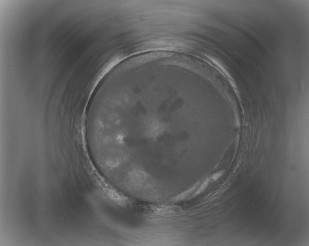 X0000080800899200701051416