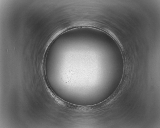 X0000080800901200701051416