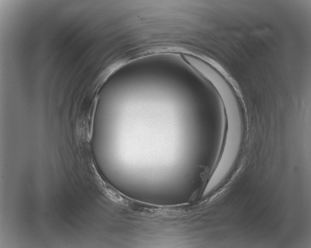 X0000080800905200701051416