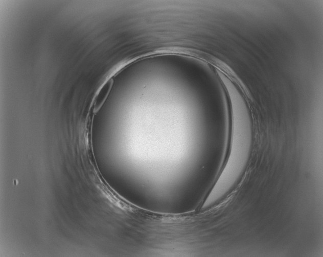 X0000080800908200701051416