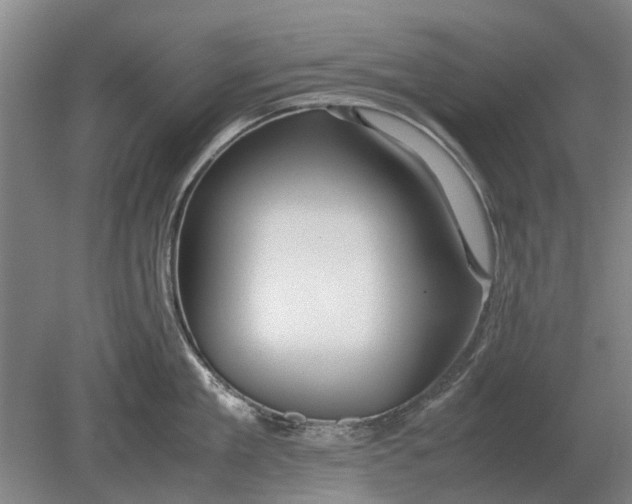 X0000080800909200701051416