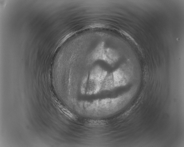 X0000080800921200701051415